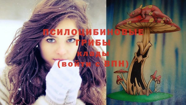 бошки Нязепетровск