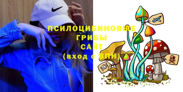 индика Лабытнанги