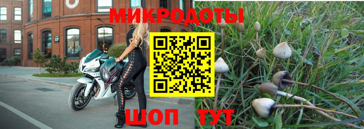 Псилоцибиновые грибы Psilocybine cubensis Кунгур
