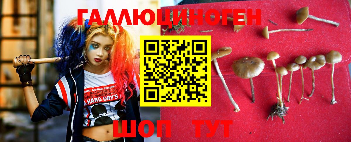 Псилоцибиновые грибы ЛСД  Вход с VPN  Кунгур 